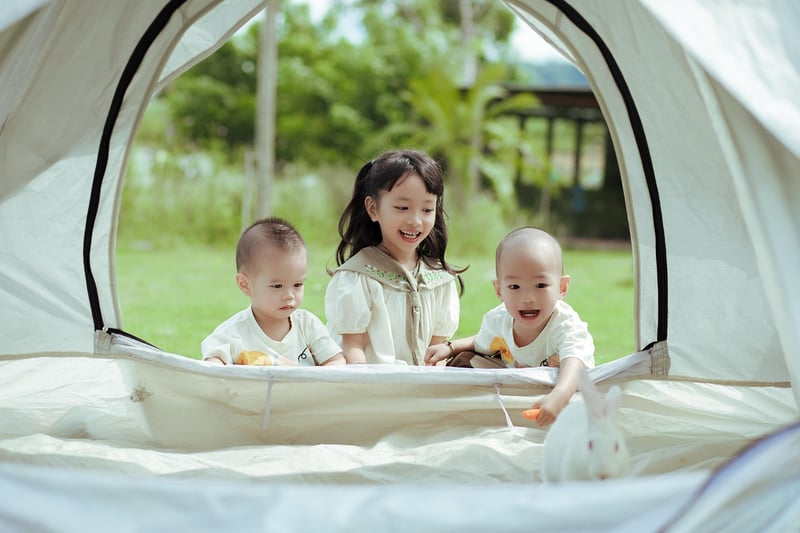 Luxury Picnic Pleasures