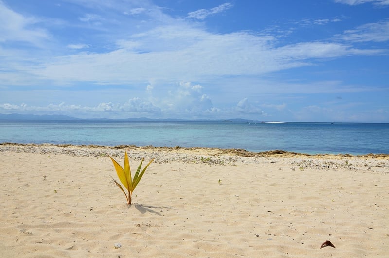 Fiji